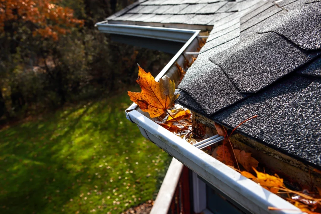 leaking asphalt roof with clogged gutters