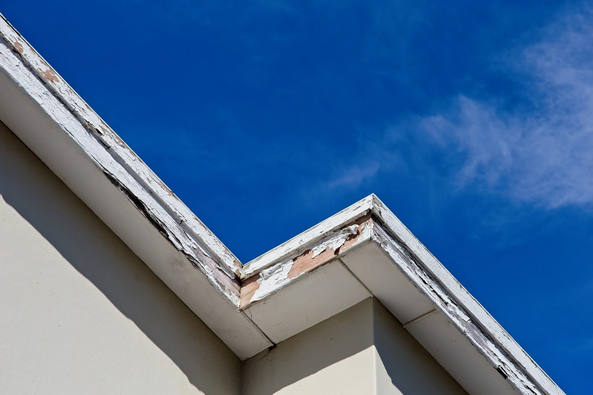 damaged fascia