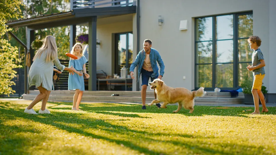 A family playing frisbee outside with their dog in Elk River