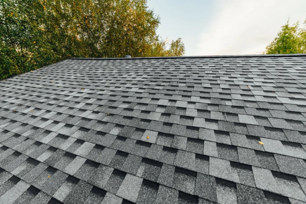 Close up view of grey architectural shingles installed on Forest Lake home