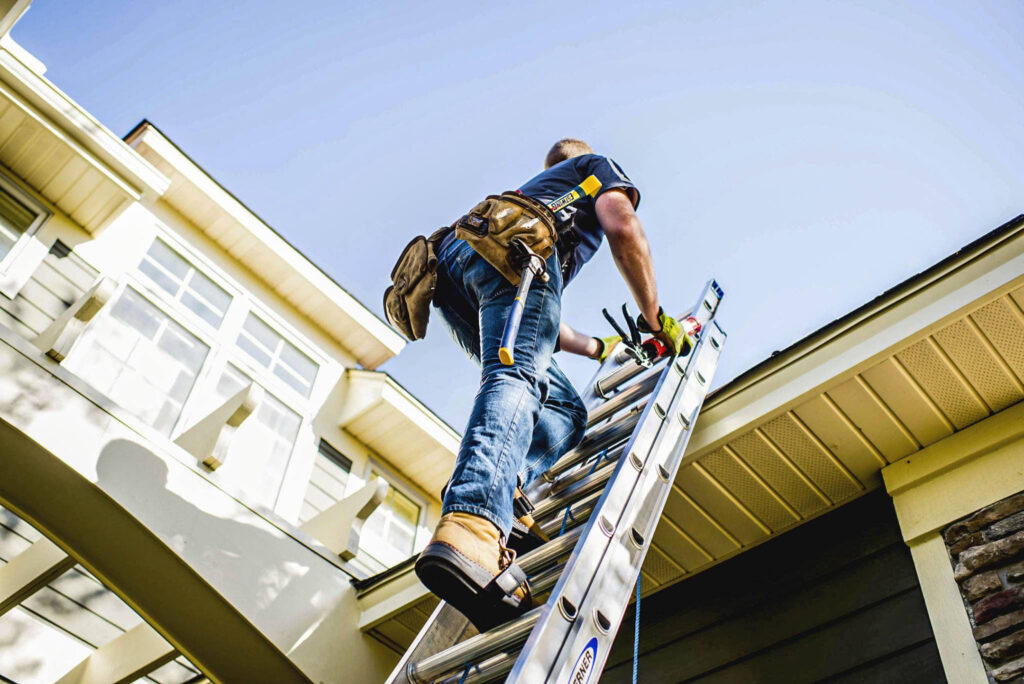 northface roofer