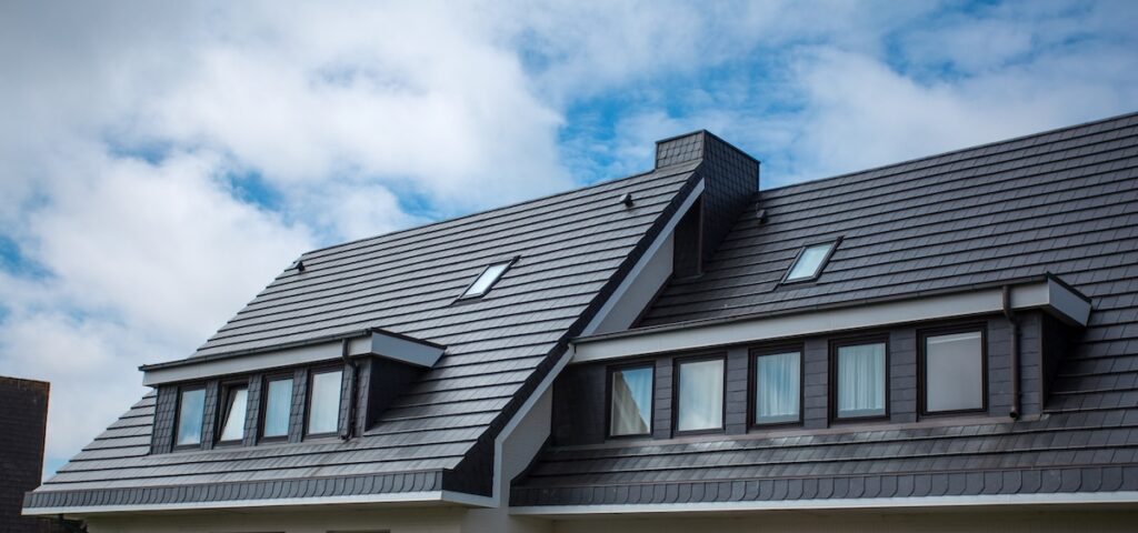 Modern sleek home with black roof