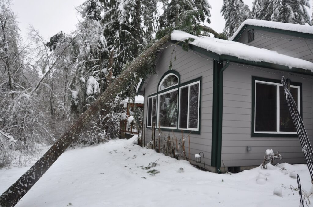 Tree leaning on roof during a winter snow storm