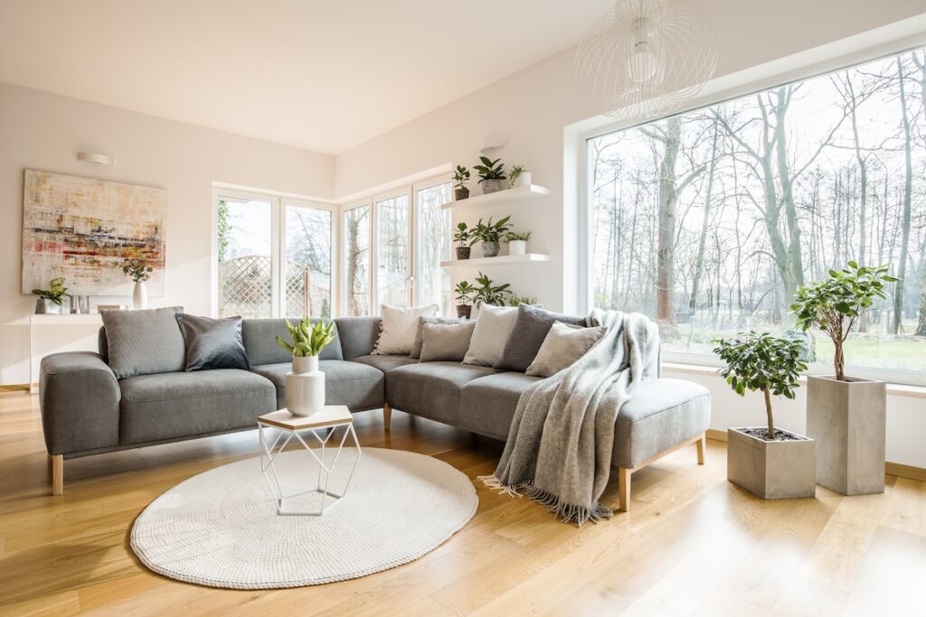 Blankets and cushions on a grey corner sofa standing in white living room interior with fresh plants, big picture window and abstract painting